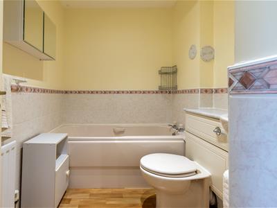 Picture 17